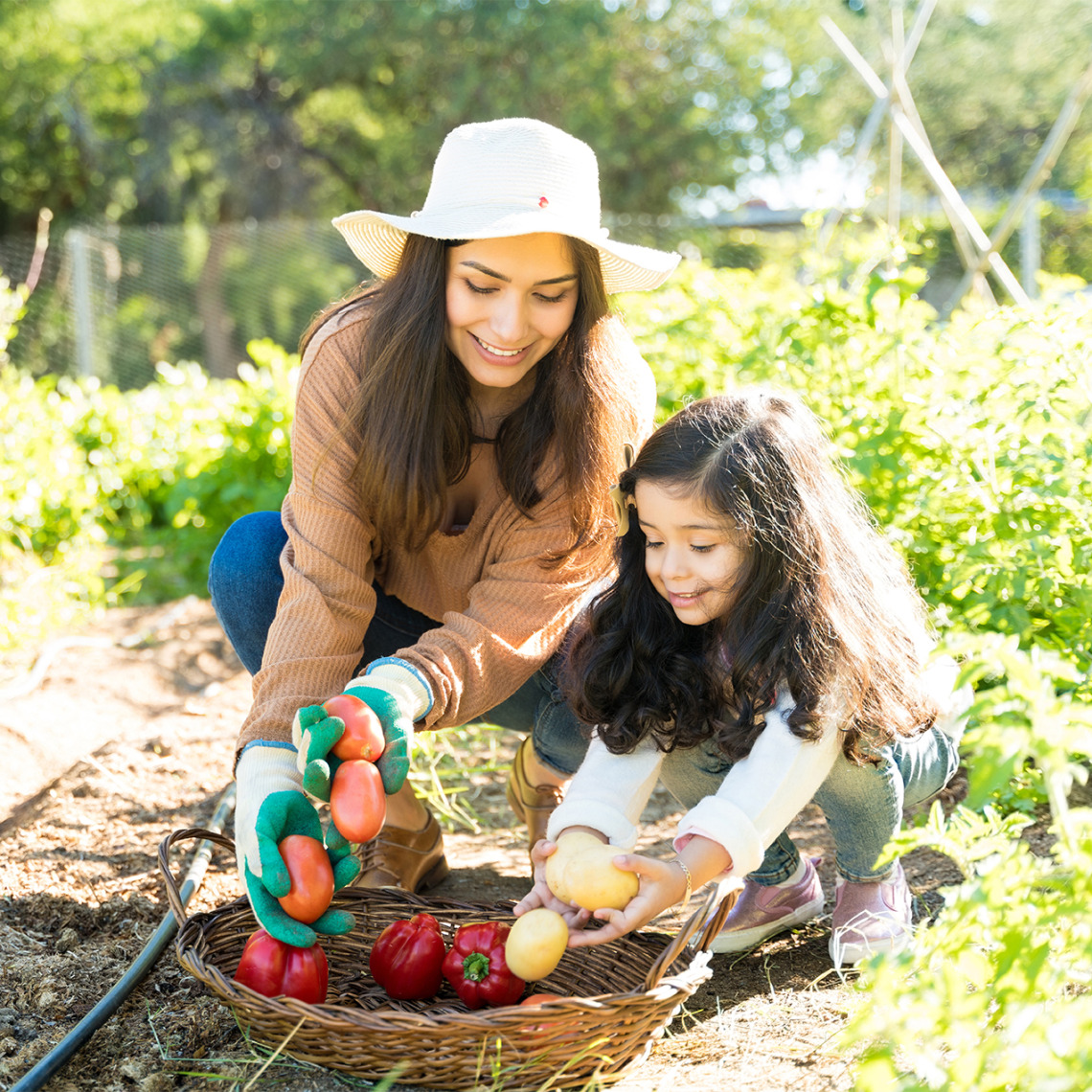 mother and daughter in the garden harvesting vegetables