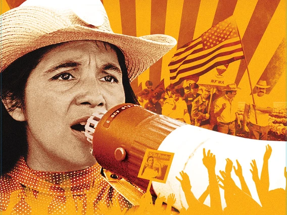 DOLORES film cover