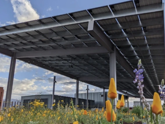 The Green Roof Project atop the Environment and Natural Resources 2