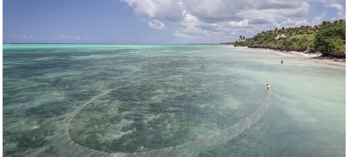 fishing net in ocean