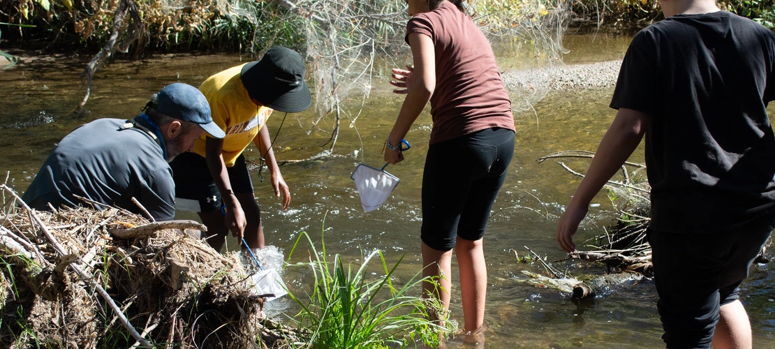 Students use nets to sample insects in Santa Cruz.