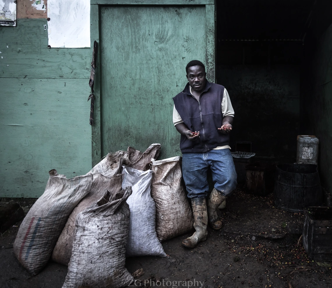 Coffee Farmer in Jamaica