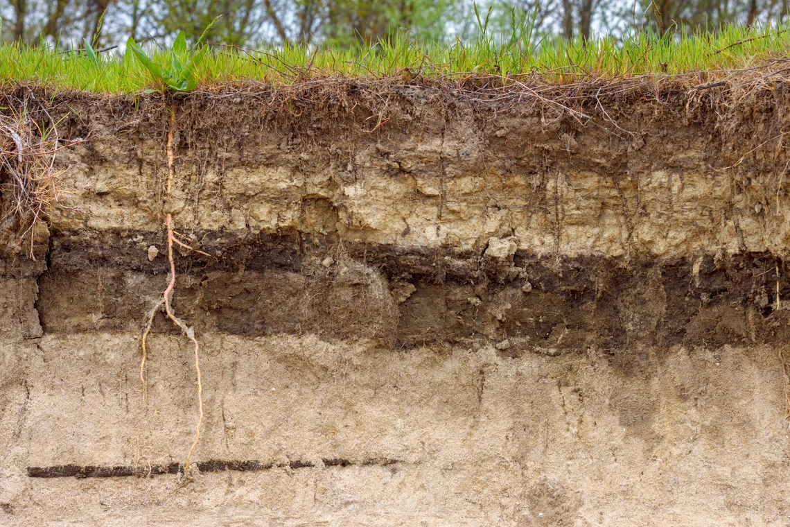 Brown and tan soil with grass ontop