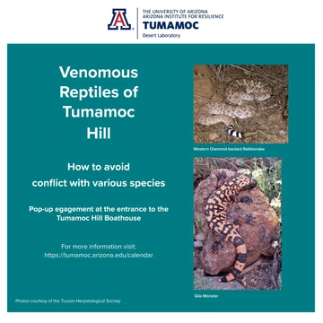 Venomous Reptiles of Tumamoc Hill