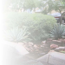 Green Stormwater Infrastructure