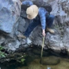Oskar Anderson samples pond