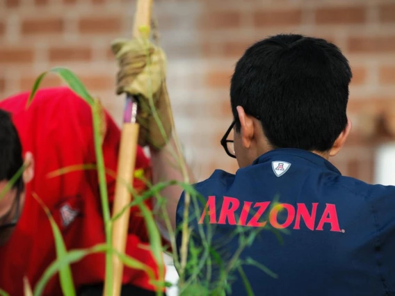 Two students working