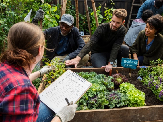 People working happily in a community garden together