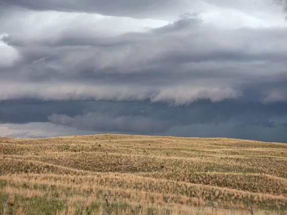 Storm clouds rolling over a field