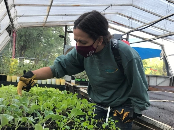 Earth Grant student Madison Goforth inspecting plants and soil.