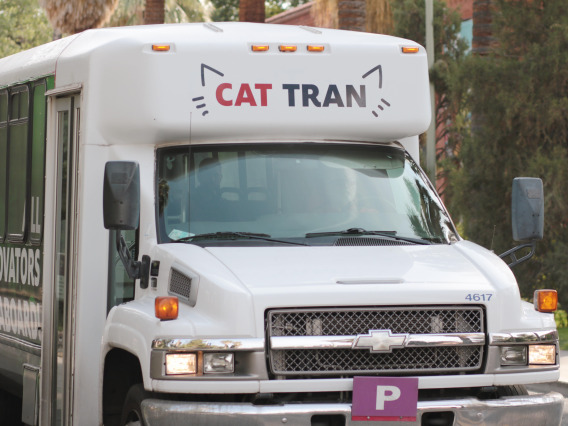 A University of Arizona Cat Tran pulling up to a stop