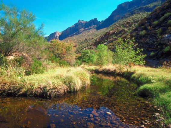 A stream of water running alongside mountains in a rangeland environment