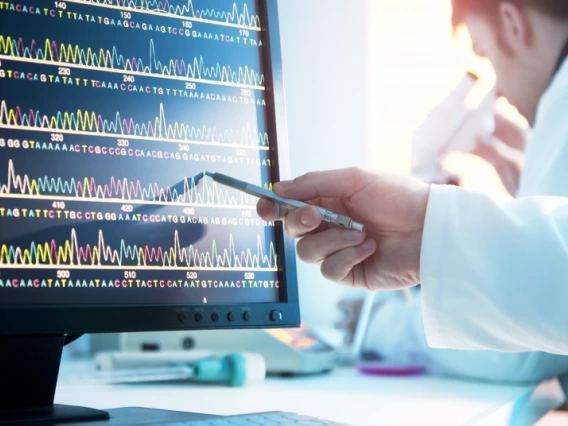 A hand holding a pencil pointing at data displayed on a monitor