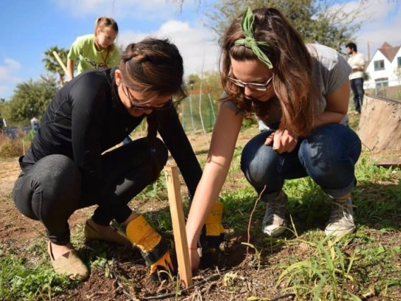 Two people inspecting soil