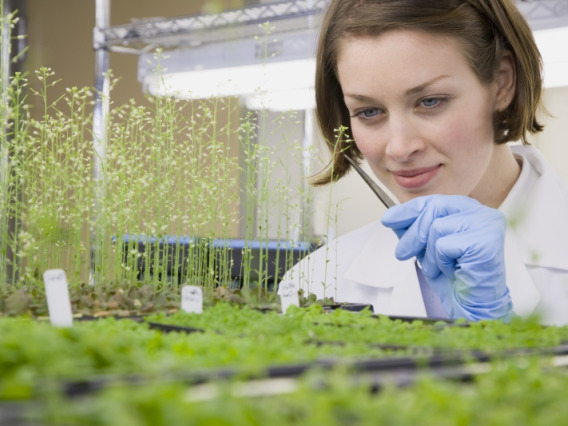 A woman in a lab coat examining a plant sample