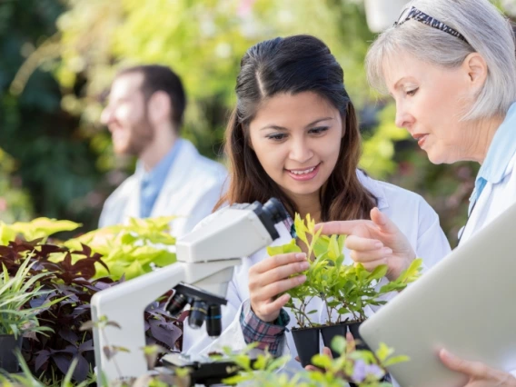 Two women researchers in labcoats inspecting plants under a microscope