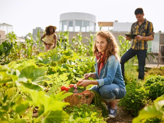 A woman picking vegetables out of an urban garden