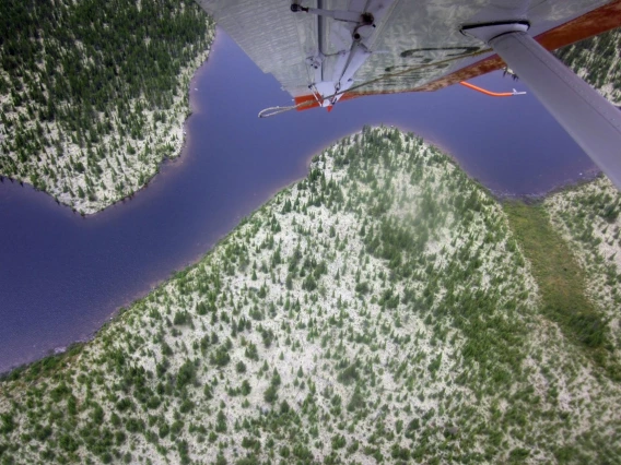 View from cockpit