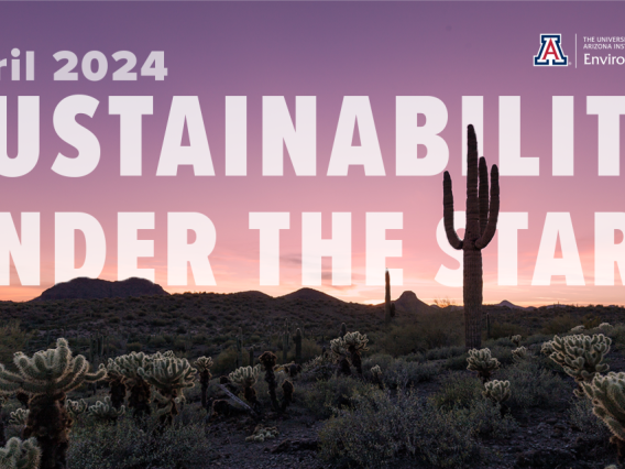 "Sustainability under the stars" on scenic shot of sonoran desert at dusk.