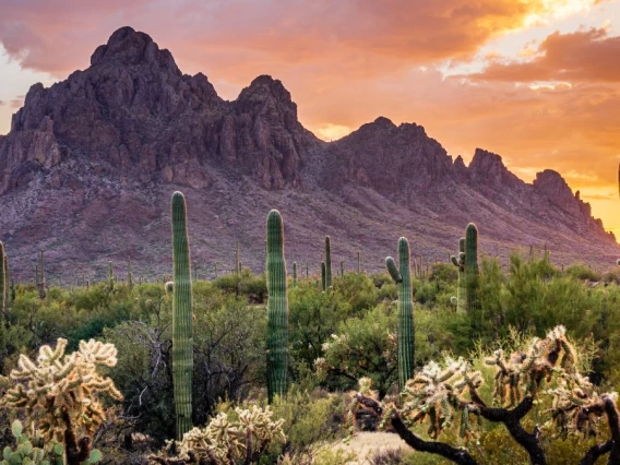 Mountains in the desert at sunset