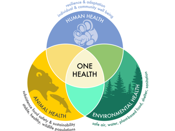 One Health Diagram
