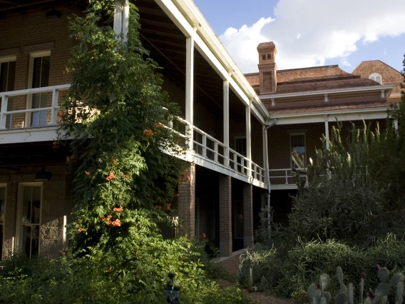 UArizona building with green vines