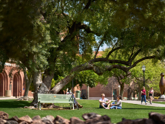 Two students sitting on the UArizona lawn