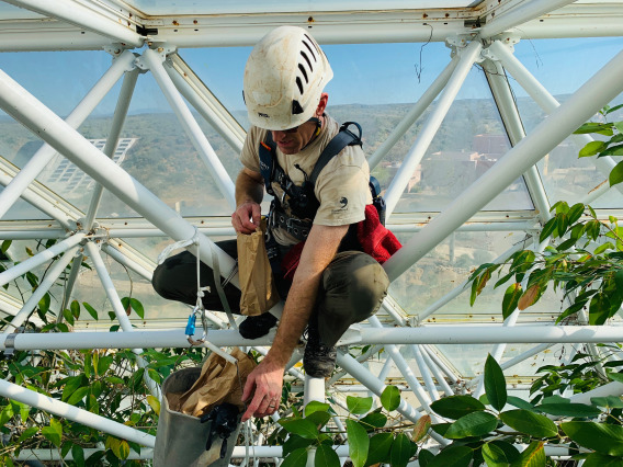 Scientist Climbs in Biosphere 2 Rainforest Lab