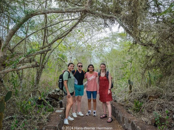 Four students stand in a forest