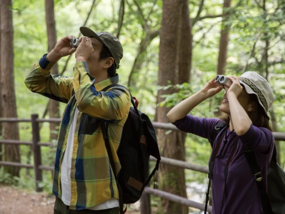 Two people looking through binoculars in a park