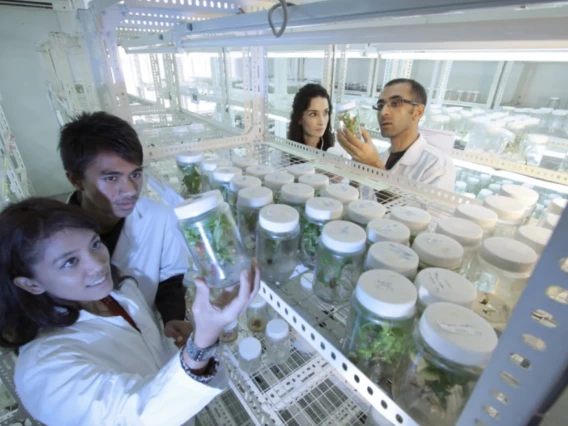 Four people look at a sample in a lab.