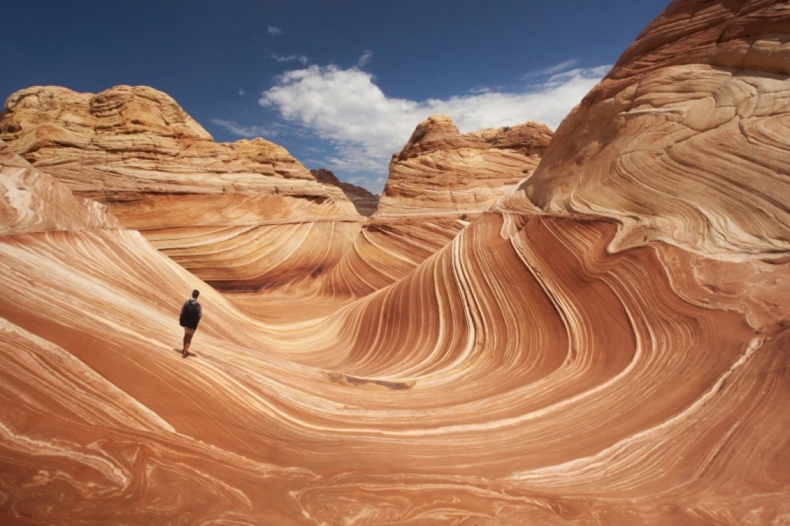 Adult male tourist hikes across the striated sandstone rock formations known as the Wave