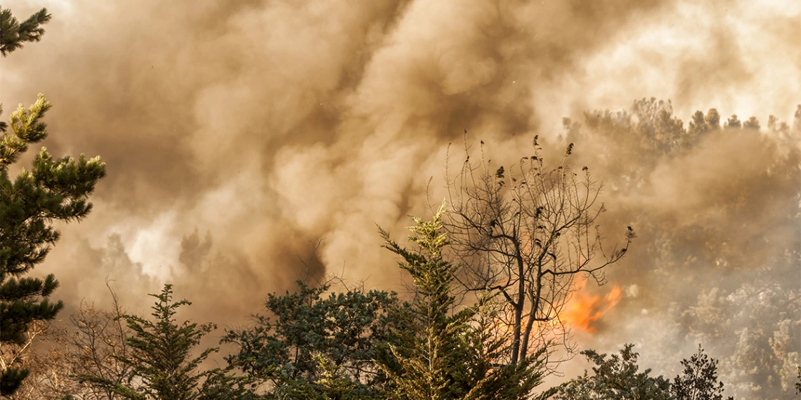 A forest fire releasing smoke into the sky