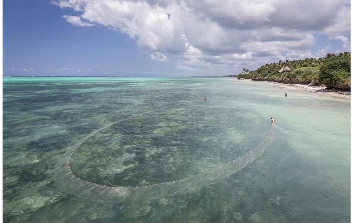 fishing net in ocean