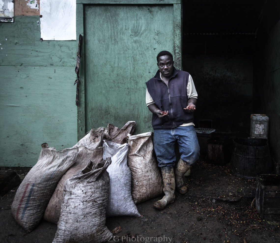 Coffee Farmer in Jamaica