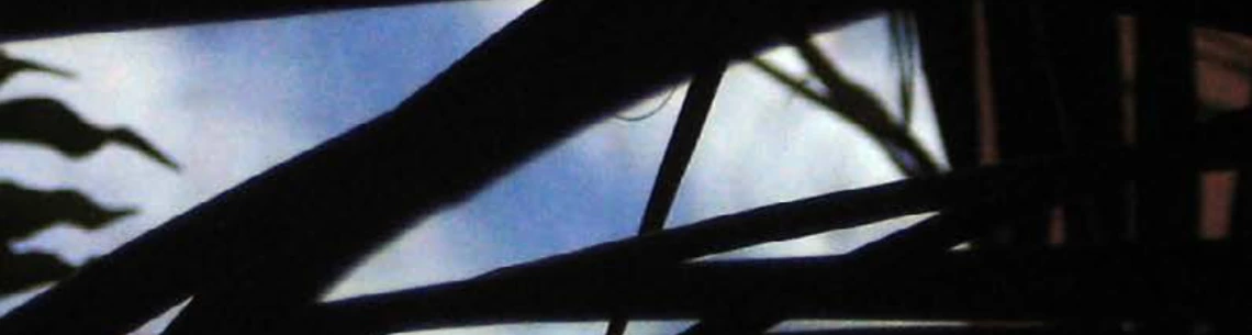 Branches against blue sky