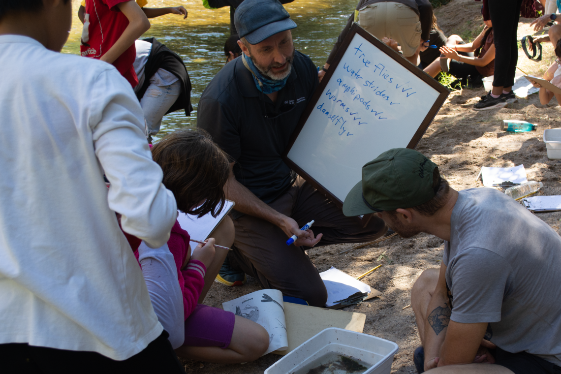 Michael Bogan identifies Santa Cruz insects with a group of students.