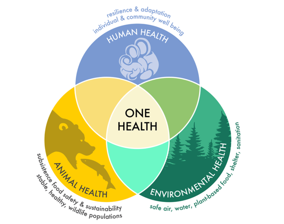 One Health Diagram