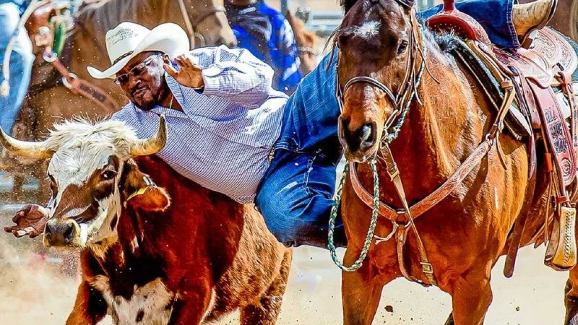 Man in a rodeo competition