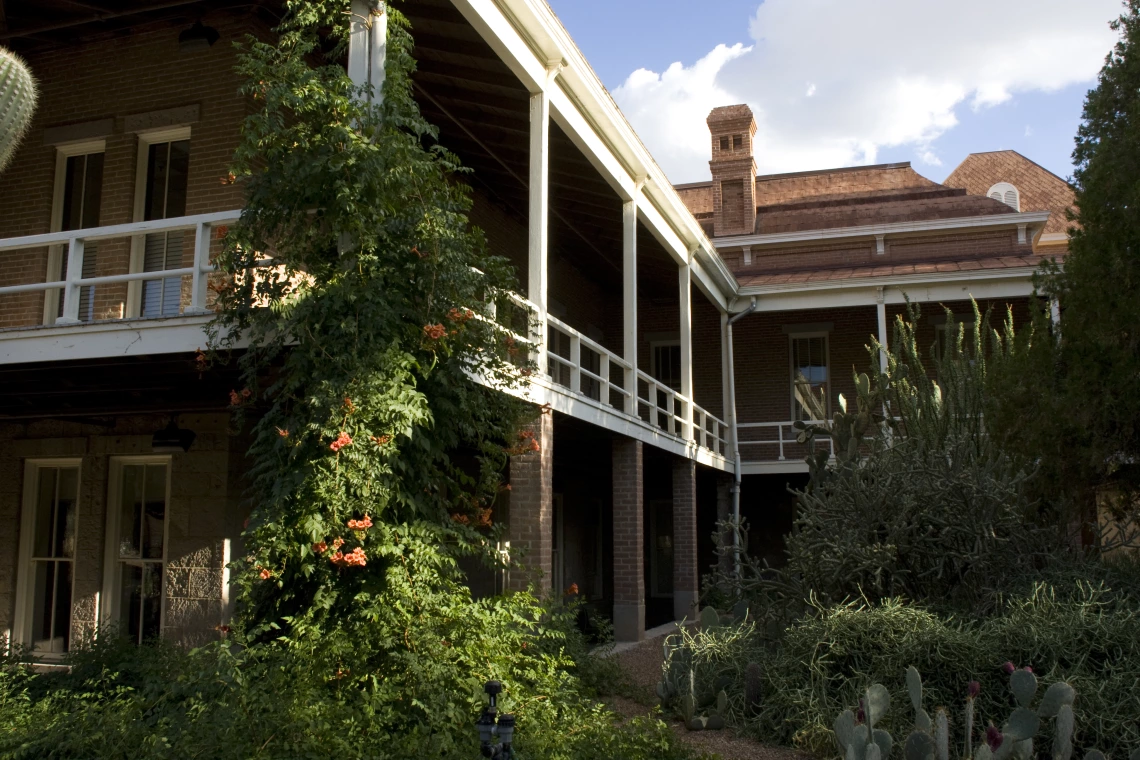 UArizona building with green vines