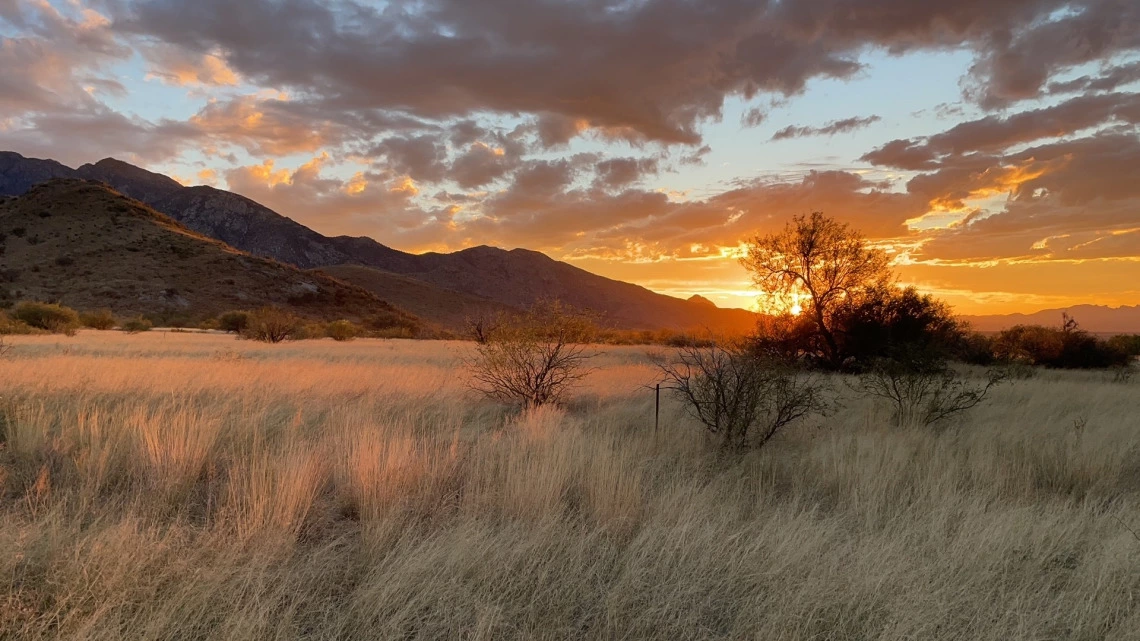 Santa Rita Experimental Range at sunset