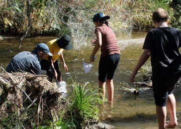 Students use nets to sample insects in Santa Cruz.