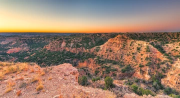 Desert landscape