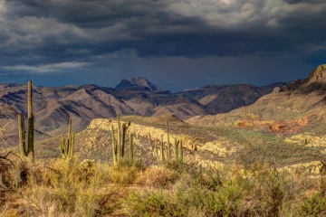 Stormy Desert