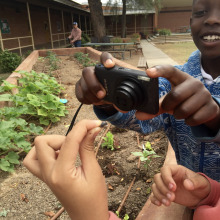 A young boy taking a photo of a pill bug pulled from the community garden