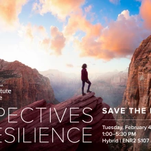 Perspectives on Resilience graphic